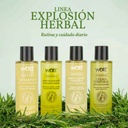 SHAMPOO HERBAL WOTT 100 ML.