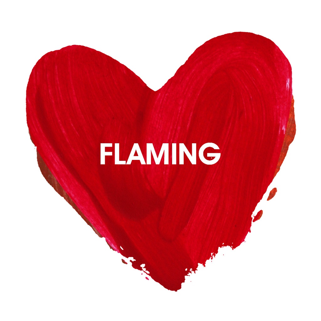 LABIAL MATE LIQUIDO LE FOOSE FLAMING